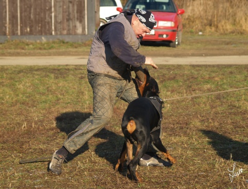 The christmas training 27.12.2006